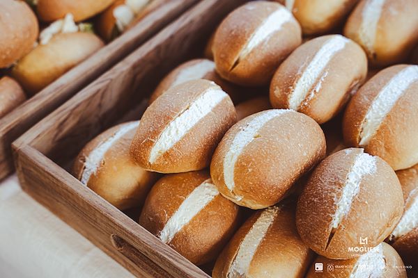 Latteria  Mogliese<br />Trame di Sapori