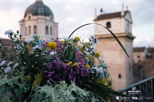 Latteria  Mogliese<br />Trame di Sapori