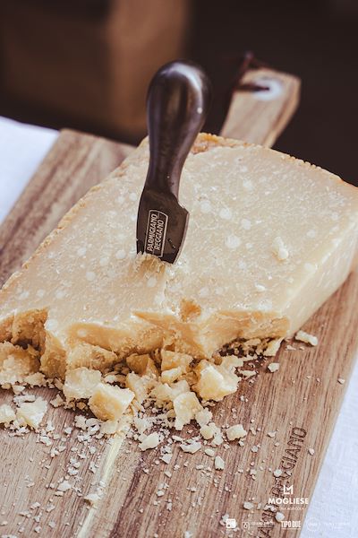 Latteria Mogliese<br />Trame di Sapori