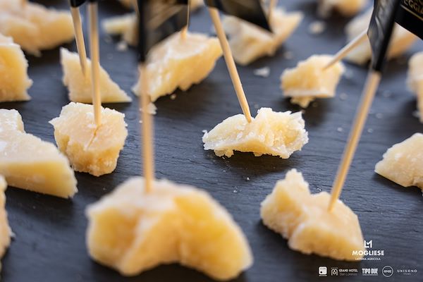 Latteria  Mogliese<br />Trame di Sapori